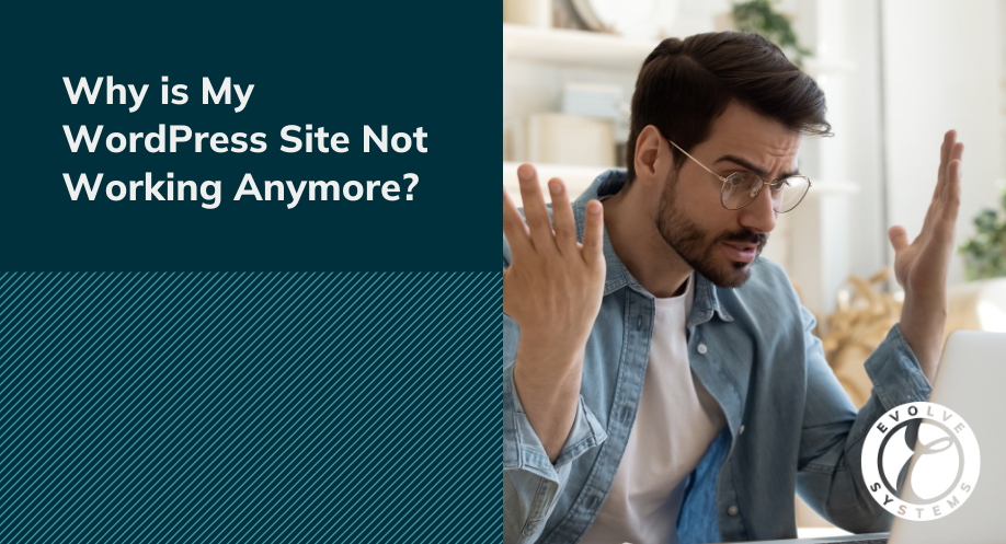 Why is my wordpress site not working anymore?